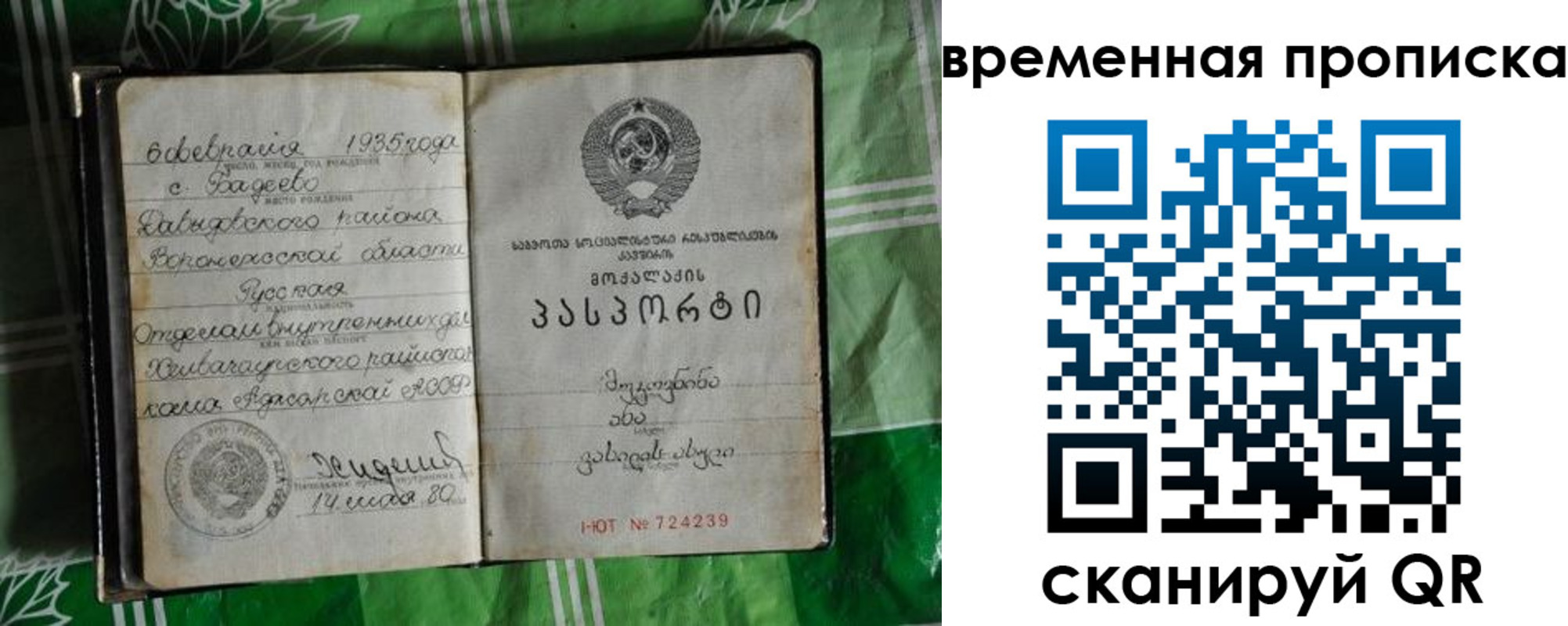 прописка в Сураже